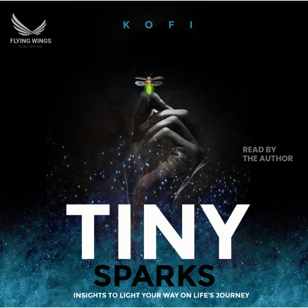 Kofi Douhadji book cover Tiny Sparks